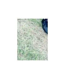 Reebok | スニーカー