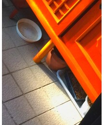 adidas | ジャージ