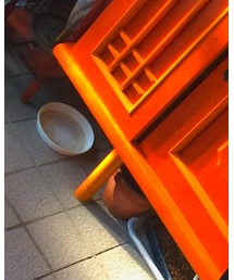 チンポジチェック | その他