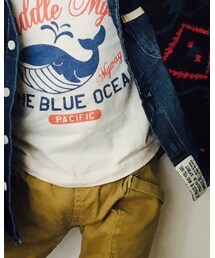 オフィシャルチーム | Tシャツ/カットソー