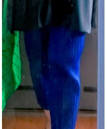 PLEATS PLEASE | その他パンツ