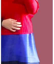 PLEATS PLEASE | トップス