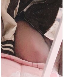 しまむら | レッグウェア