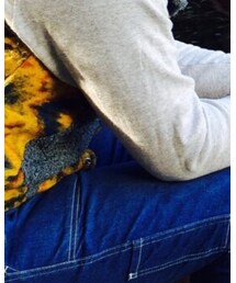 THE NORTH FACE | ダウンベスト