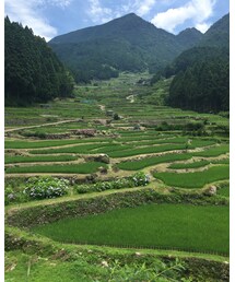 千枚田 | その他