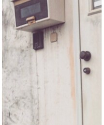 ZARA | コルセット(アクセサリー)