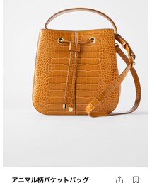 ZARA | ショルダーバッグ
