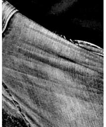 UNIQLO | デニムパンツ