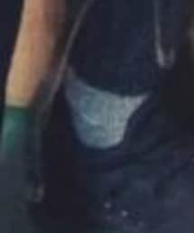 UNIQLO | ソックス/靴下