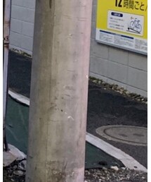 ズニ族 | リング