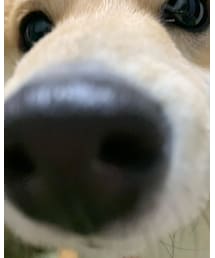 🐶 | まるち初登場🐾(その他)