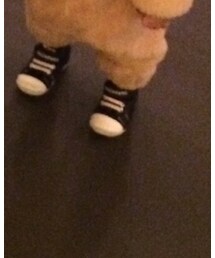 MIKI HOUSE | シューズ