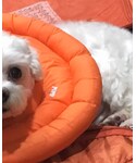 pompreeceの「アクセサリー(ネックレス)」