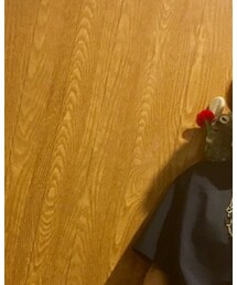 Frederick | フィギュア