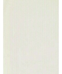 NEFF | ニットキャップ/ビーニー