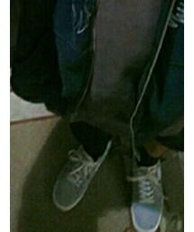VANS | タイツ/ストッキング
