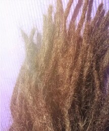 dreadlocks(その他)