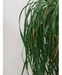 ongoov | ショルダーバッグ