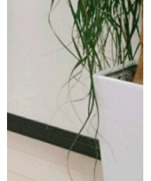 spick-and-span | その他シューズ