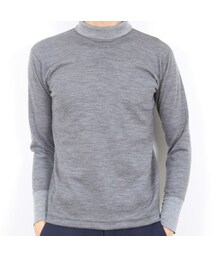 Inpaichthys kerri | ウール　ジャージ　タートルネック(ニット/セーター)