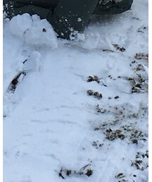 PAWN | その他アウター