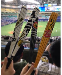 野球観戦⚾️🐯🐲 | その他