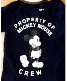 UNIQLO | Tシャツ/カットソー