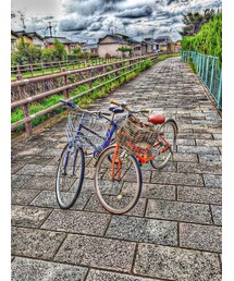 サイクリング | その他