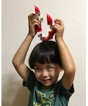 鹿のツノの「雑貨/ホビー(おもちゃ)」