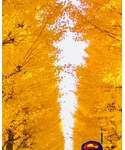 イチョウをお楽しみください💛の「インテリア(キャンドル)」