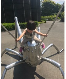 メタルライダー | ショーツ