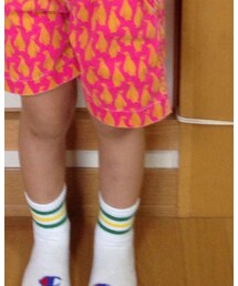 Champion | ソックス/靴下