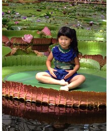 GO TO HOLLYWOOD | 冥想ちゅう(Tシャツ/カットソー)