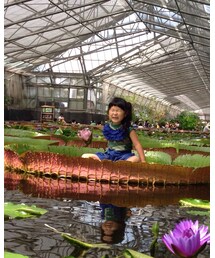 オオオニバスにのったよ〜 | その他