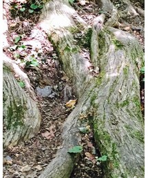 木 | つなぎ/オールインワン