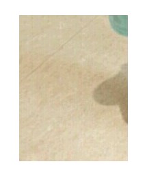 Carter's | その他パンツ