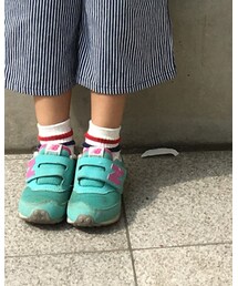 靴下屋 | ソックス/靴下