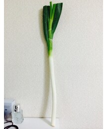 ネギ(その他小物)