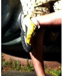 Timberland | スニーカー