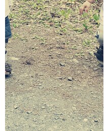 BIRKENSTOCK | シューズ