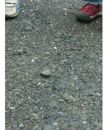 vanavana | パンツ