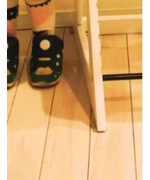 korea | タイツ/ストッキング