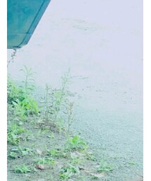 MARKEY'S | ヘアバンド