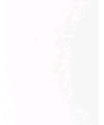 kobune | 水着/着物・浴衣