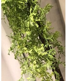 SENSE OF PLACE by URBAN RESEARCH | キャスケット