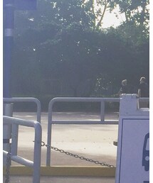 Fjallraven Kanken | バッグ