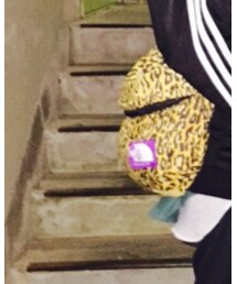 THE NORTH FACE PURPLE LABEL | ボディバッグ/ウエストポーチ