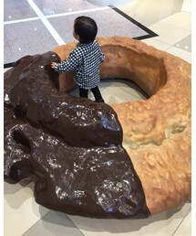 ドーナツ | その他