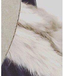 Narcissus | その他アウター