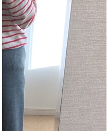 American Apparel | スカート